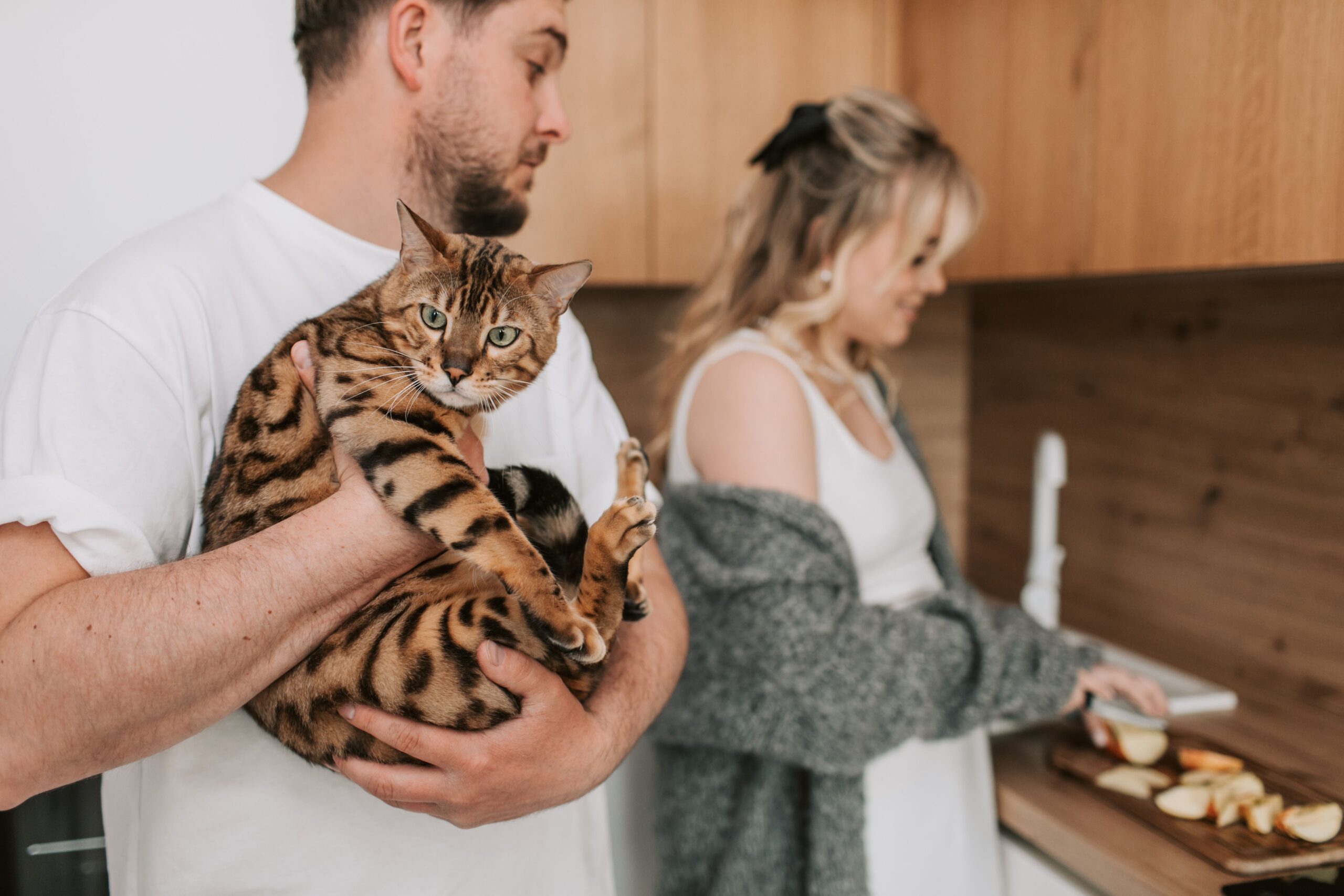 Bengal Cat Personality